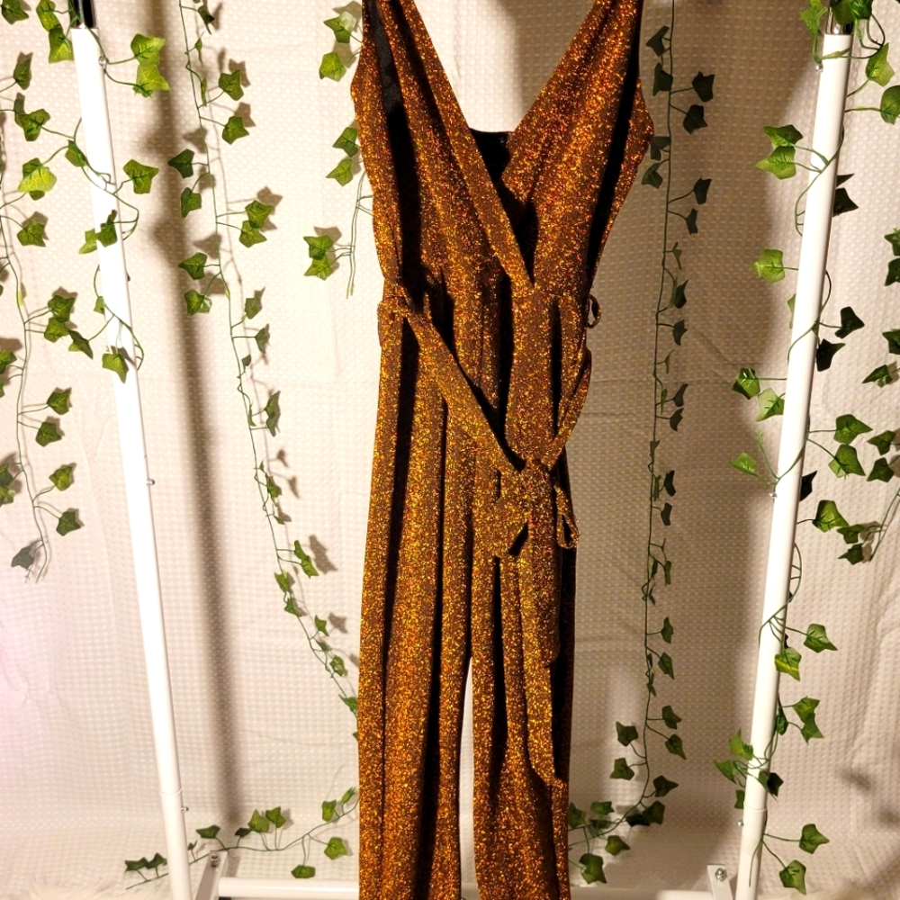 Shimmery Bronze Jumpsuit (L)